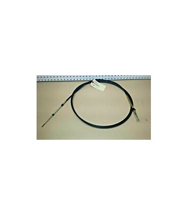 CABLE T/S G2 21FT