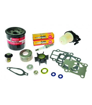 SERV KIT 300H 25-30HP