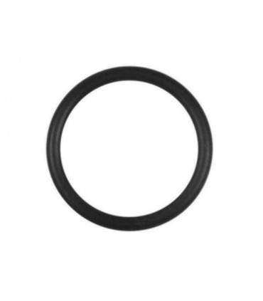 O RING      @10