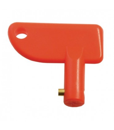 Massilüliti võti punane