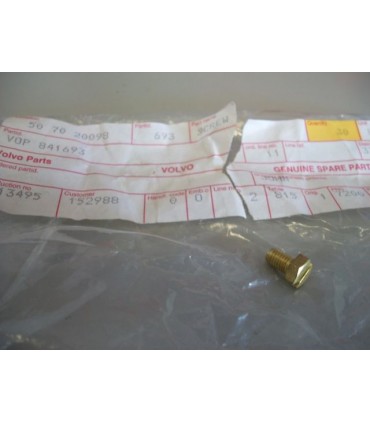 Volvo Penta kruvi 841693