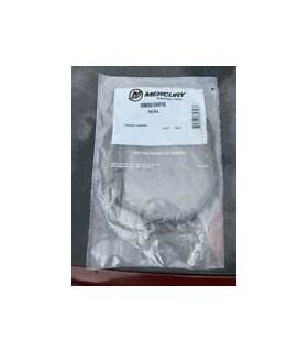 LWR UNIT SEAL KIT 8M4002715