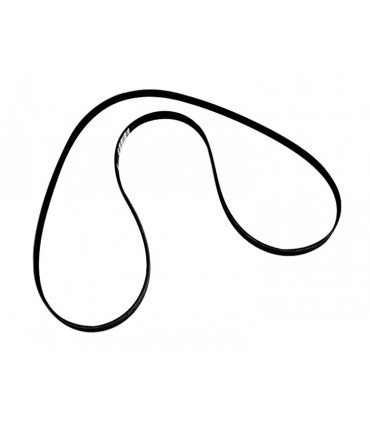 BELT 6rib / rihm 8M2016270