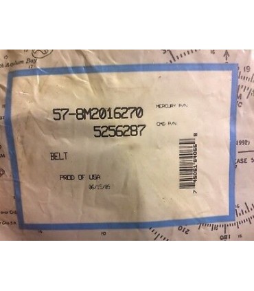 BELT 6rib / rihm 8M2016270