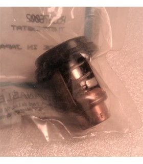 THERMOSTAT / termostaat 8M0119207