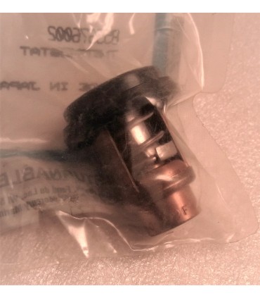 THERMOSTAT / termostaat 8M0119207