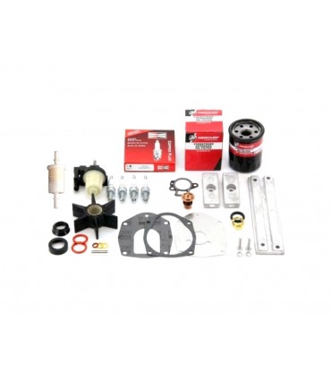 Hoolduskomplekt 300H 40-60efi / 8M0113483