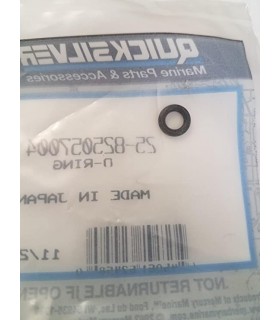 O-RING / O tihend 825057004