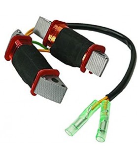 ALTERNATOR / generaator mähis 8M0056334