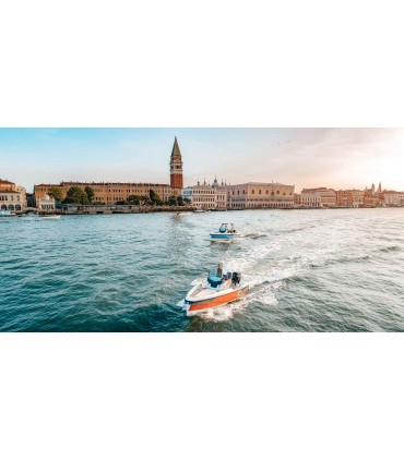 SAXDOR 200 Sport Mercury F115 PRO XS